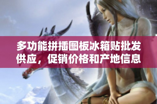 多功能拼插图板冰箱贴批发供应，促销价格和产地信息一手掌握