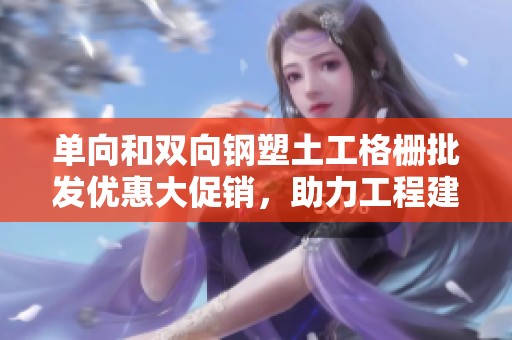 单向和双向钢塑土工格栅批发优惠大促销，助力工程建设质量提升