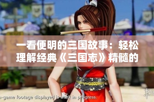 一看便明的三国故事：轻松理解经典《三国志》精髓的生动影片解析