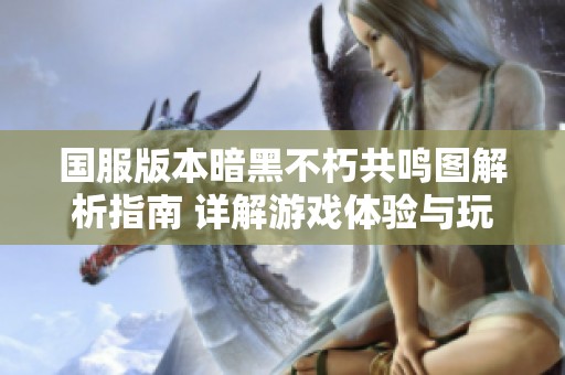 国服版本暗黑不朽共鸣图解析指南 详解游戏体验与玩法技巧