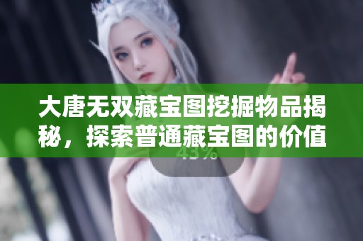 大唐无双藏宝图挖掘物品揭秘，探索普通藏宝图的价值与收获实用指南