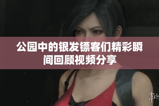 公园中的银发镖客们精彩瞬间回顾视频分享