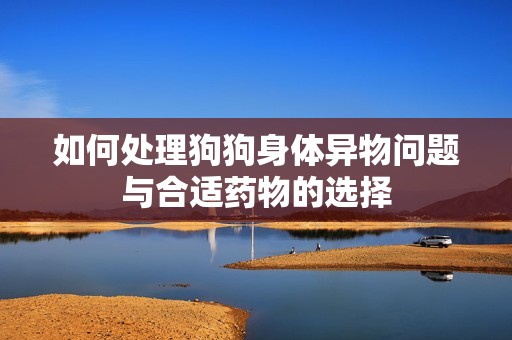如何处理狗狗身体异物问题与合适药物的选择