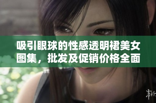 吸引眼球的性感透明裙美女图集，批发及促销价格全面揭秘，尽在这里！