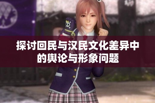 探讨回民与汉民文化差异中的舆论与形象问题