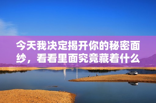 今天我决定揭开你的秘密面纱，看看里面究竟藏着什么