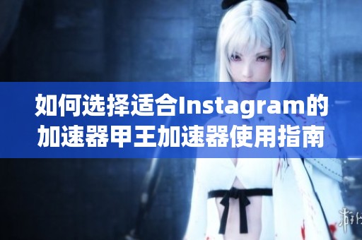 如何选择适合Instagram的加速器甲王加速器使用指南与评测