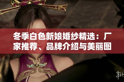 冬季白色新娘婚纱精选：厂家推荐、品牌介绍与美丽图片展示