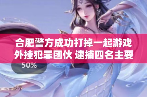 合肥警方成功打掉一起游戏外挂犯罪团伙 逮捕四名主要嫌疑人