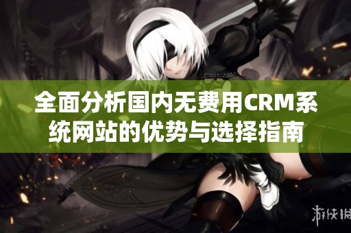 全面分析国内无费用CRM系统网站的优势与选择指南
