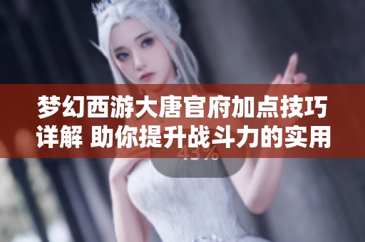 梦幻西游大唐官府加点技巧详解 助你提升战斗力的实用指南分享