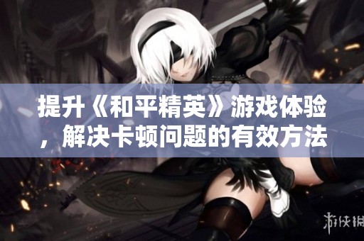 提升《和平精英》游戏体验，解决卡顿问题的有效方法和技巧解析