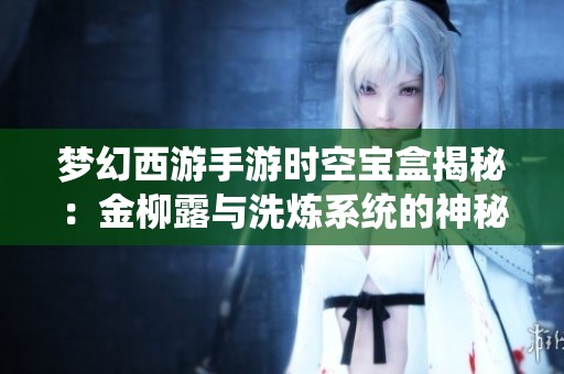 梦幻西游手游时空宝盒揭秘：金柳露与洗炼系统的神秘液体探索