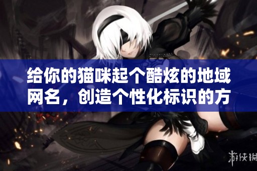给你的猫咪起个酷炫的地域网名，创造个性化标识的方法分享
