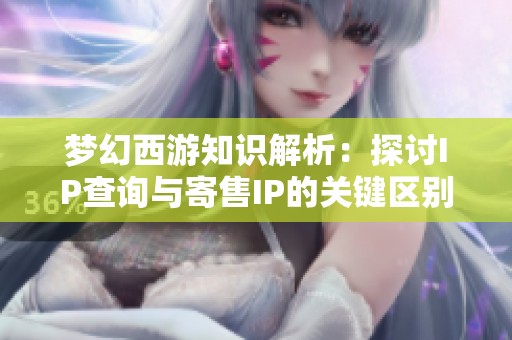 梦幻西游知识解析：探讨IP查询与寄售IP的关键区别与处理方法