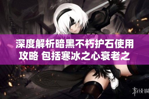 深度解析暗黑不朽护石使用攻略 包括寒冰之心衰老之石与祝福石的搭配技巧
