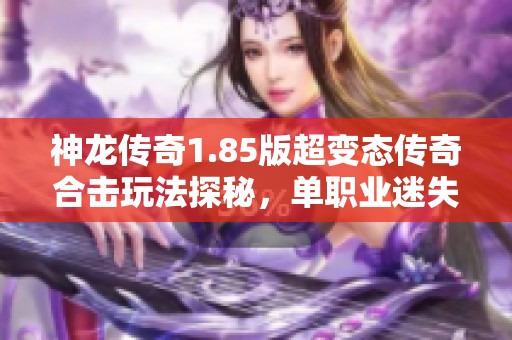 神龙传奇1.85版超变态传奇合击玩法探秘，单职业迷失传奇新开版本引发热潮