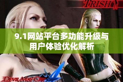 9.1网站平台多功能升级与用户体验优化解析