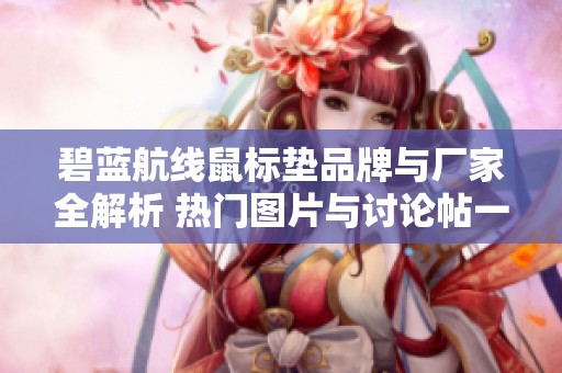碧蓝航线鼠标垫品牌与厂家全解析 热门图片与讨论帖一站式获取