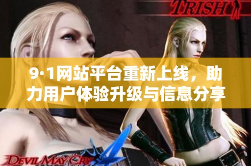 9·1网站平台重新上线，助力用户体验升级与信息分享