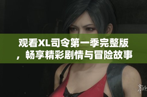 观看XL司令第一季完整版，畅享精彩剧情与冒险故事