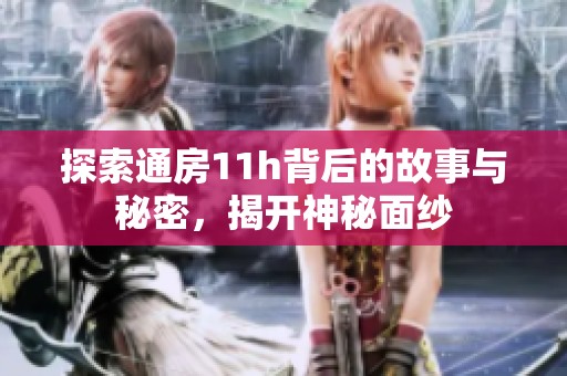探索通房11h背后的故事与秘密，揭开神秘面纱