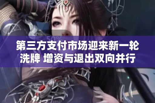 第三方支付市场迎来新一轮洗牌 增资与退出双向并行加速变局