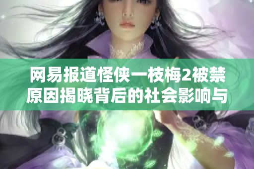网易报道怪侠一枝梅2被禁原因揭晓背后的社会影响与文化反思