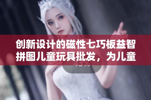 创新设计的磁性七巧板益智拼图儿童玩具批发，为儿童智力发展助力