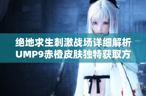 绝地求生刺激战场详细解析UMP9赤橙皮肤独特获取方法与实用技巧分享