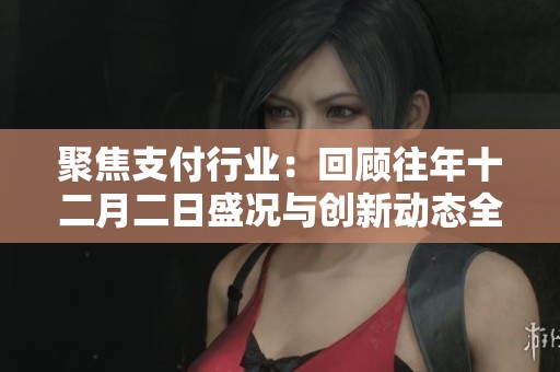 聚焦支付行业：回顾往年十二月二日盛况与创新动态全景分析
