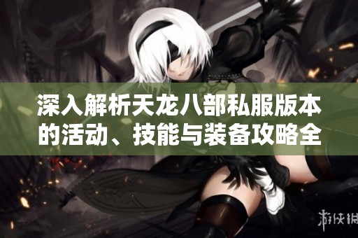 深入解析天龙八部私服版本的活动、技能与装备攻略全方位指南