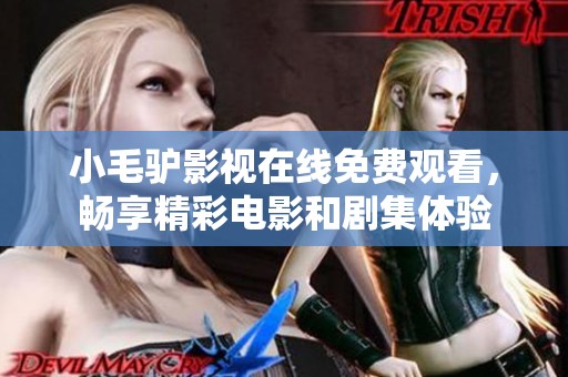 小毛驴影视在线免费观看，畅享精彩电影和剧集体验