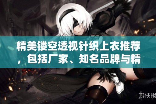 精美镂空透视针织上衣推荐，包括厂家、知名品牌与精选图片展示