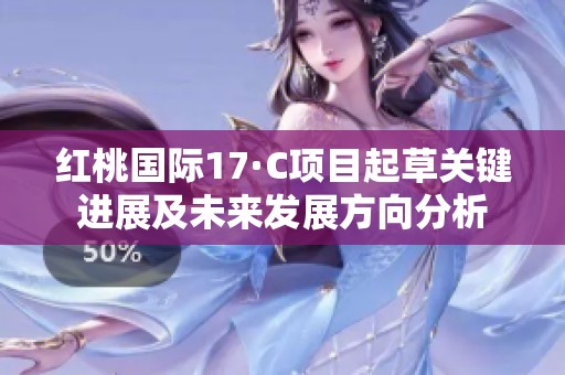 红桃国际17·C项目起草关键进展及未来发展方向分析