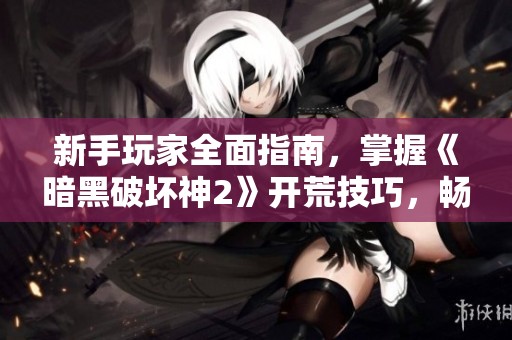 新手玩家全面指南，掌握《暗黑破坏神2》开荒技巧，畅游地下城冒险世界！
