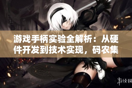 游戏手柄实验全解析：从硬件开发到技术实现，码农集市的专业分享