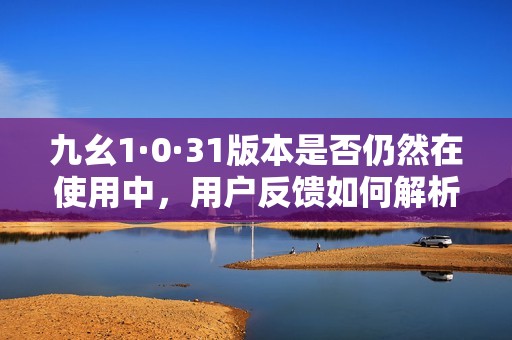 九幺1·0·31版本是否仍然在使用中，用户反馈如何解析