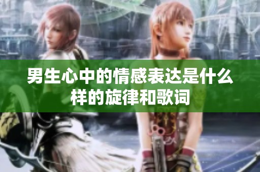 男生心中的情感表达是什么样的旋律和歌词