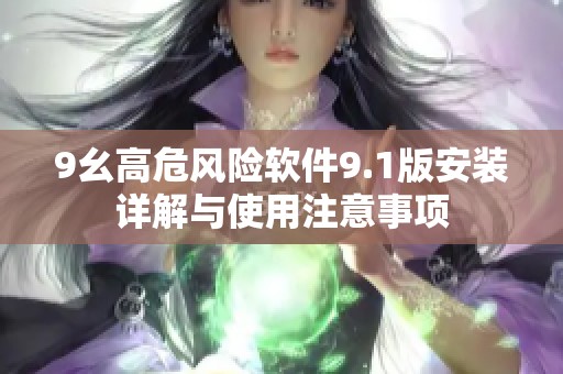 9幺高危风险软件9.1版安装详解与使用注意事项