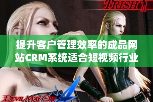 提升客户管理效率的成品网站CRM系统适合短视频行业应用