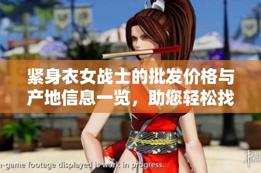 紧身衣女战士的批发价格与产地信息一览，助您轻松找到优质货源!