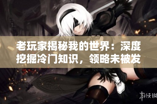 老玩家揭秘我的世界：深度挖掘冷门知识，领略未被发现的游戏奥秘与乐趣