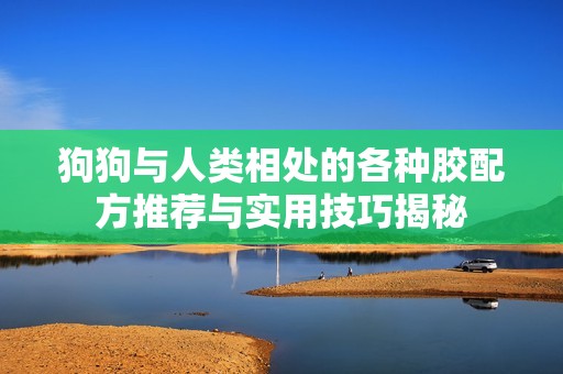 狗狗与人类相处的各种胶配方推荐与实用技巧揭秘