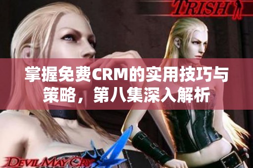 掌握免费CRM的实用技巧与策略，第八集深入解析