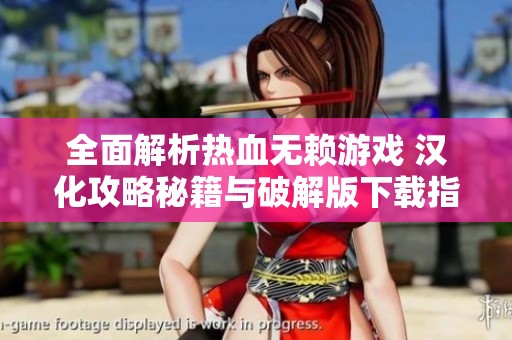 全面解析热血无赖游戏 汉化攻略秘籍与破解版下载指南