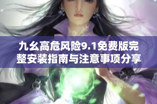 九幺高危风险9.1免费版完整安装指南与注意事项分享