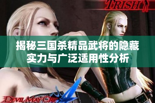 揭秘三国杀精品武将的隐藏实力与广泛适用性分析
