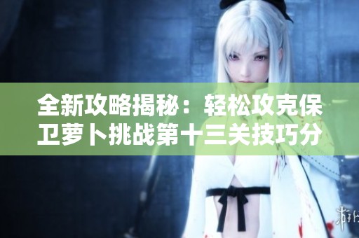 全新攻略揭秘：轻松攻克保卫萝卜挑战第十三关技巧分享