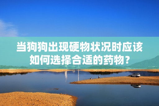 当狗狗出现硬物状况时应该如何选择合适的药物？